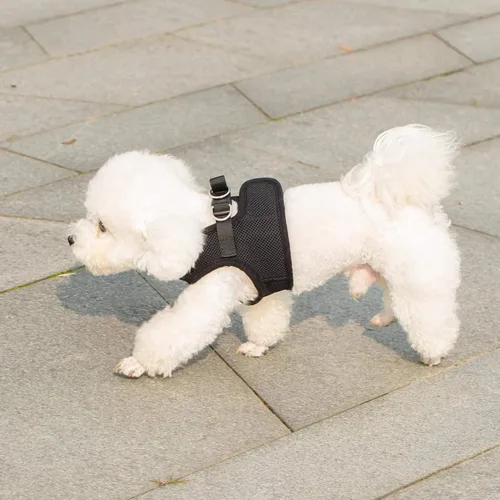 Miniatura 5 de Mr. Peanut's PupTrek - Arnés de malla suave para perros y gatos pequeños (talla XS, negro)