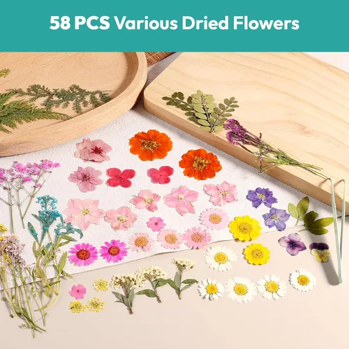 Miniatura 2 de Flores Secas, Resiners 58 Piezas Flores Prensadas para Manualidades Rosa Flores Secas Naturales Reales Kit de Hojas Secas para DIY Hacer