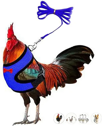 Juego de arnés y correa para pollo, malla ajustable, transpirable, arnés de entrenamiento de pato, correas para mascotas, correas para ganso, Azul