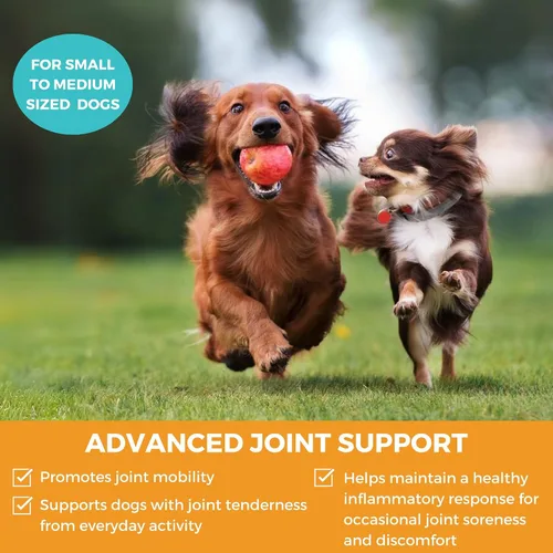 Miniatura 2 de Progility - Mini suplemento para cadera y articulaciones para perros pequeños a medianos, movilidad diaria y apoyo articular con glucosamina