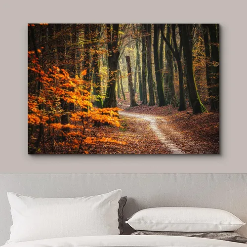 Miniatura 3 de wall26 Cuadro en lienzo para pared Otoño otoño hoja naranja bosque árbol sendero naturaleza paisaje fotografías de la naturaleza realismo escenas