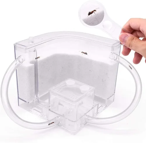 Miniatura 5 de NAVAdeal - Granja de hormigas de arena con tubos de conexión, kit educativo y de aprendizaje de hábitat para niños y adultos, permite el estudio
