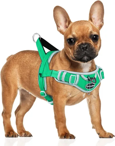 Miniatura 23 de ADVENTUREMORE Arnés para perros grandes, antitirones, arnés deportivo para perro, reflectante, transpirable, chaleco para perro, a prueba de Al