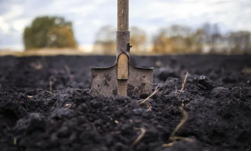 Park Seed Nature's Aid - Inoculante de suelo para jardín, mejora la fertilidad del suelo para frijoles, guisantes y arveja, aumenta la fijación de