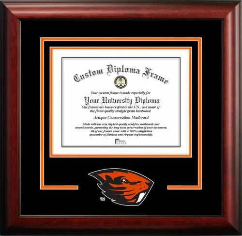 Miniatura 16 de Marco de Diploma Spirit NCAA