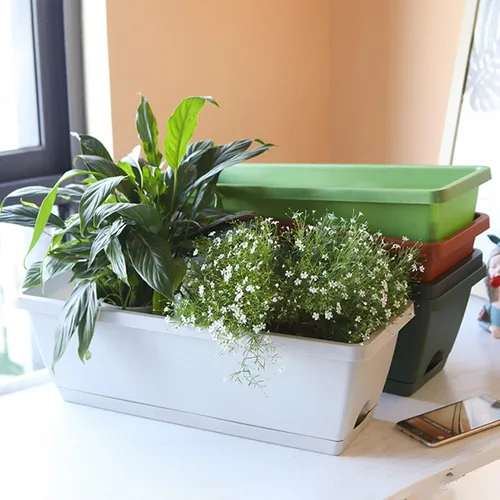 Miniatura 5 de Macetero para ventana, macetas de plástico para verduras, macetas rectangulares de 17 pulgadas con platillos para jardín interior y exterior