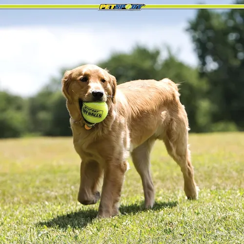 Miniatura 7 de PetSport Giant Tuff Ball - Pelotas de tenis gigantes para perros, ideales para aburrimiento y masticadores agresivos, pelotas de tenis para perros