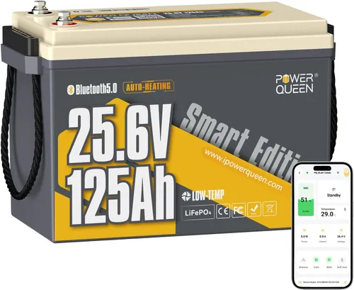 Miniatura 12 de Power Queen Batería LiFePO4 de 12 V 100 Ah, batería de litio del grupo 24, batería de más de 15000 ciclos profundos para caravana con protección BMS