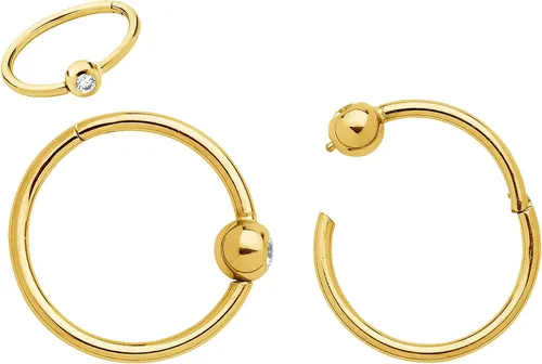 Miniatura 23 de 365 Sleepers Anillo de titanio de 18G de 0.236 a 0.394 pulgadas, con bisagras, segmento BCR, hélice, tragus, septum, nariz, labio, arete de aro