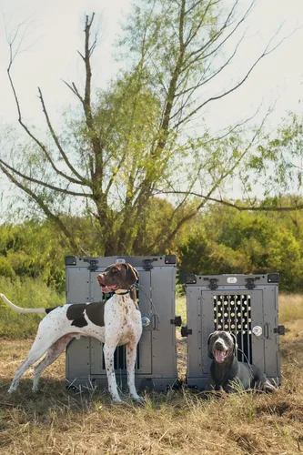 Miniatura 2 de K9 Kennel Boss - Jaula para Perros Resistente Completamente Plegable de Aluminio con Recubrimiento en Polvo - Mediana (Gris)