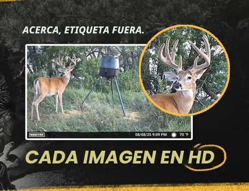 Miniatura 4 de Moultrie Edge 2 Cellular Trail Camera - Auto Connect Nationwide 4G LTE - On Demand 36MP Photo - 1080P Video with HD Audio - 100 Ft Detection Range