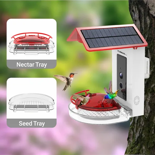 Miniatura 5 de Comedero inteligente para colibríes con cámara de video HD de 1080P, vista de 130°, reconocimiento de IA, control de aplicación, energía solar