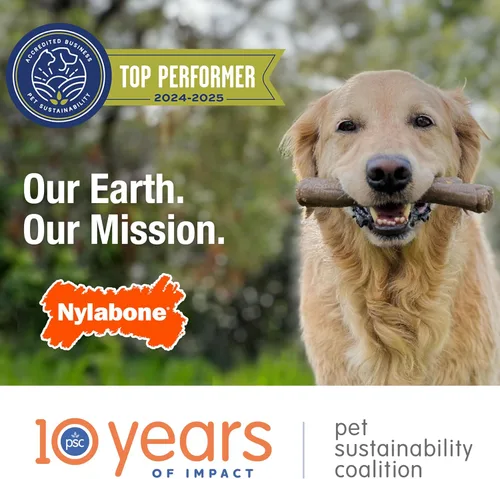 Miniatura 14 de Nylabone Original Bone Power - Paquete de valor de juguetes masticables para perros, juguetes duraderos para perros masticadores agresivos, sabor