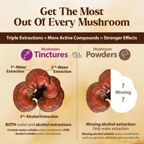 Miniatura 5 de Dragon Herbs Duanwood Reishi Drops • Suplemento de hongos • Montaña cultivada orgánicamente en troncos • Extracciones triples • para inmunidad
