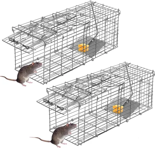 Trampa para ratas humana plegable para interiores y exteriores, trampa para ratones, trampa para ardillas, roedores pequeños, ratones, ratones,