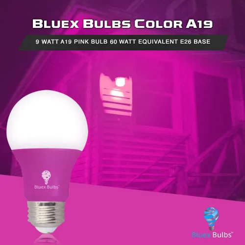 Miniatura 6 de BlueX - Paquete de 2 bombillas LED A19 (9 W, equivalente a 60 W), base E26, luz azul, decoración de fiestas, porche, iluminación del hogar, Púrpura
