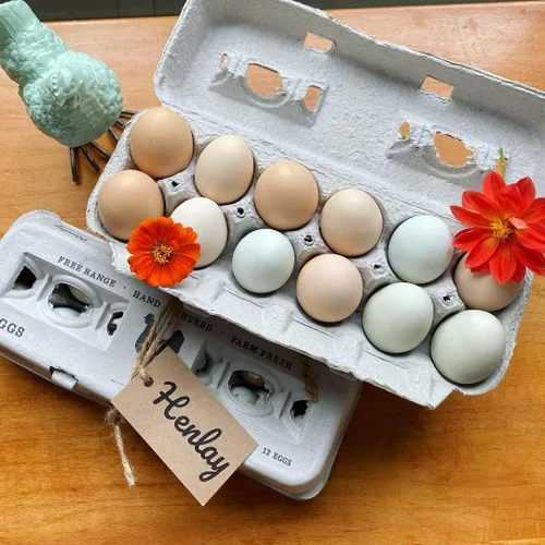 Miniatura 7 de Cartones de huevos impresos vintage, paquete de 90 cajas de cartón Henlay - Sostiene de forma segura una docena de huevos de pollo pequeños a XL