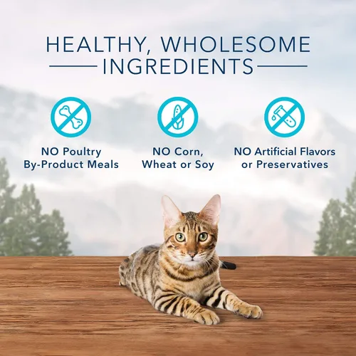 Miniatura 4 de Blue Buffalo Wilderness Golosinas crujientes para gatos con alto contenido de proteínas, hechas con ingredientes naturales, trucha sabrosa, bolsa