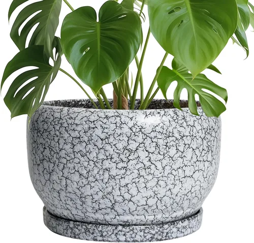 Miniatura 63 de SQOWL Macetas de cerámica – Maceta de 6 pulgadas con orificio de drenaje y bandeja, maceta redonda para plantas de interior, maceta decorativa