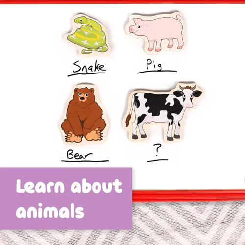 Miniatura 6 de Spark & Wow Imanes de madera Animales, imanes para niños a partir de 2 años Juego abierto Se adhieren a refrigeradores, pizarras blancas y más