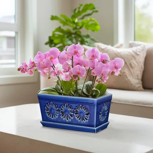 Miniatura 2 de EFISPSS Maceta de orquídea de 10 pulgadas, macetas de cerámica para orquídeas con agujeros, macetas de interior con drenaje y platillo, macetas