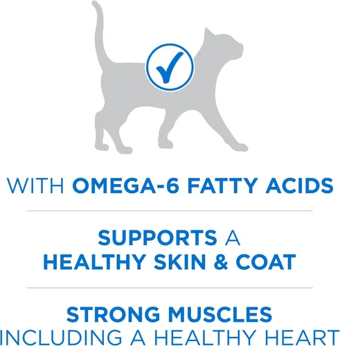 Miniatura 3 de Purina ONE Plus - Alimento para gatos con alto contenido de proteínas, salmón seco y pescado blanco del océano, fórmula para la salud de la piel