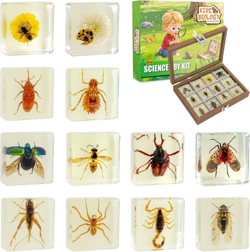 Juego de muestras de insectos, colección de insectos, regalo educativo científico para niños de 3 a 8 a 12 años (paquete de 12 unidades que brillan