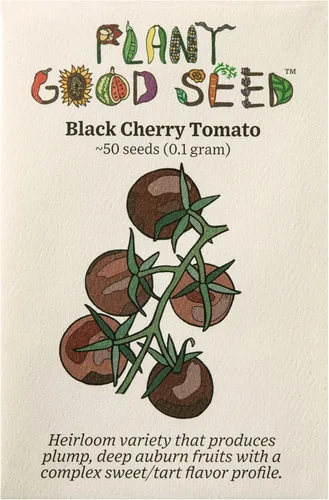 Miniatura 10 de Plant Good Seed Semillas de tomate orgánicas Sasha's Altai – Paquete de 50, semillas tradicionales para plantar verduras – Suministros