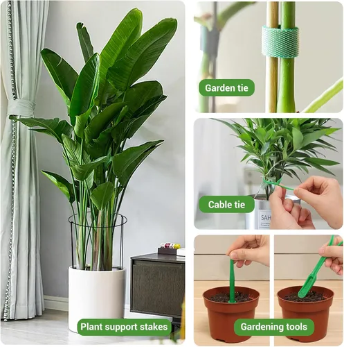Miniatura 3 de Kikhope Estacas de soporte para plantas, paquete de 8 estacas de metal para jardín, jaula de soporte de peonía semicircular, soporte de bordes