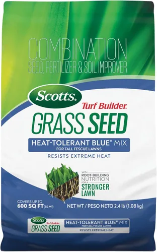 Scotts Turf Builder - Semillas de césped resistentes al calor, variedad Blue Mix para césped de festuca alta con fertilizante y mejorador de suelo,