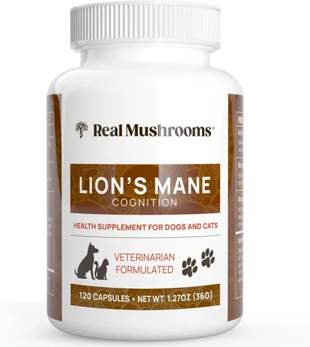 Real Mushrooms Lion's Mane - Suplemento de hongos para mascotas, cápsulas de bienestar para mascotas, suplemento y vitaminas para gatos y perros,