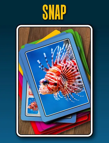Miniatura 6 de SMART CARDS Animales Juego de cartas 7 juegos en 1 Snap, Rummy, pares y más Juego educativo de viaje A partir de 5 años, 1-8 jugadores