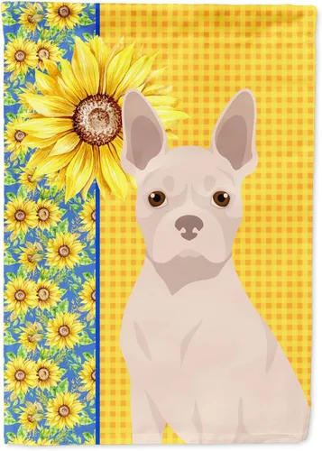 Miniatura 318 de Caroline's Treasures WDK5331CHF - Bandera de verano con diseño de girasoles rojos y blancos, manga grande, para porche, para colgar en la pared