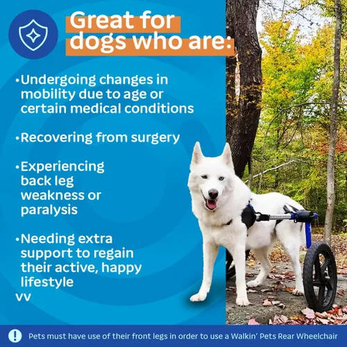 Miniatura 4 de Walkin' Wheels Silla de ruedas para perros, para perros medianos y grandes, de 50 a 69 libras, aprobada por veterinarios, silla de ruedas para Azul