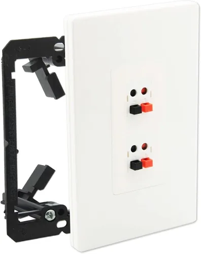 DIYTECH Placa de pared de altavoz con resorte de 2 puertos con soporte de montaje de 1 pandilla, terminales de enchufe tipo banana de cierre