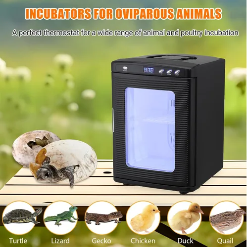 Miniatura 2 de Incubadora de reptiles de 25 litros para incubar huevos - Incubadora portátil de laboratorio científico, temperatura controlada 50.0 °F-140.0 °F