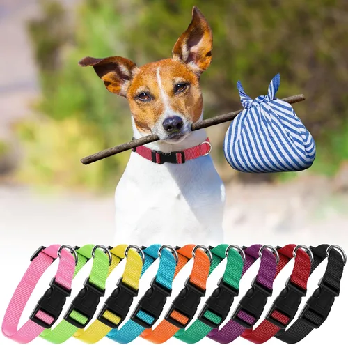 Miniatura 7 de 9 piezas de collar ajustable para perro, collar de nailon suave para mascotas con hebilla de liberación rápida a granel para perros, caminar
