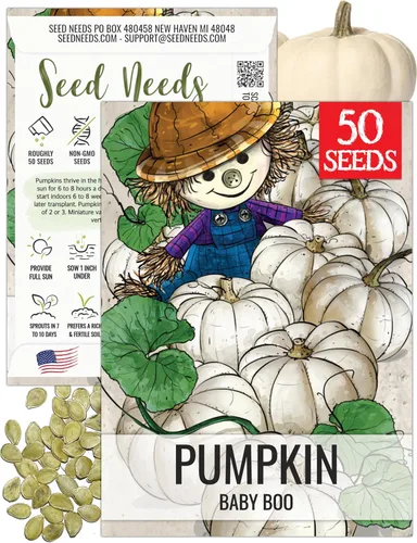 Seed Needs Semillas de calabaza para plantar calabazas en miniatura Baby Boo, reliquia sin OMG y semillas de Cucurbita sin tratar para plantar un