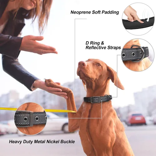 Miniatura 2 de Collares para perros PetiFine para perros medianos, acolchados de neopreno y ajustables, collares para mascotas reflectantes anchos y resistentes