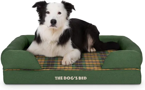 Miniatura 12 de The Dog's Bed - Cama ortopédica de espuma viscoelástica para perros medianos, colchón de soporte de alta densidad, entrada frontal baja, funda negro