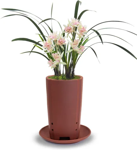 Miniatura 12 de Dahlia - Macetero de barro (zisha) para suculenta con plato para drenaje