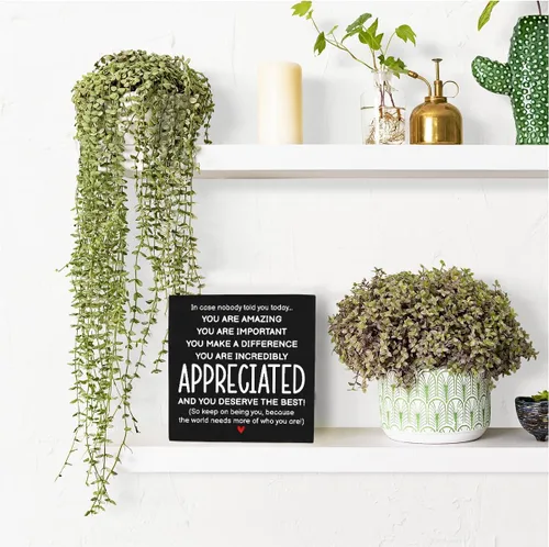 Miniatura 6 de HTBIG Regalos inspiracionales para hombres, mujeres, amigos, decoración de oficina para compañeros de trabajo, regalos de reconocimiento, You Are