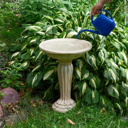Miniatura 9 de Sunnydaze - Bañera para pájaros de hormigón de 20.25 pulgadas de alto para exteriores, columna griega, pedestal, baño para pájaros con construcción