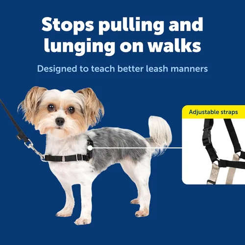 Miniatura 4 de Arnés de paseo fácil de PetSafe, Negro/Plateado
