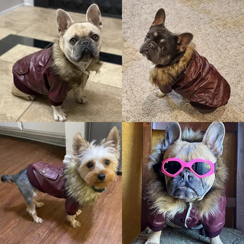 Miniatura 7 de Chamarra impermeable Lesypet de cuero para perro, abrigo invernal para perros pequeños y medianos, rojo vino