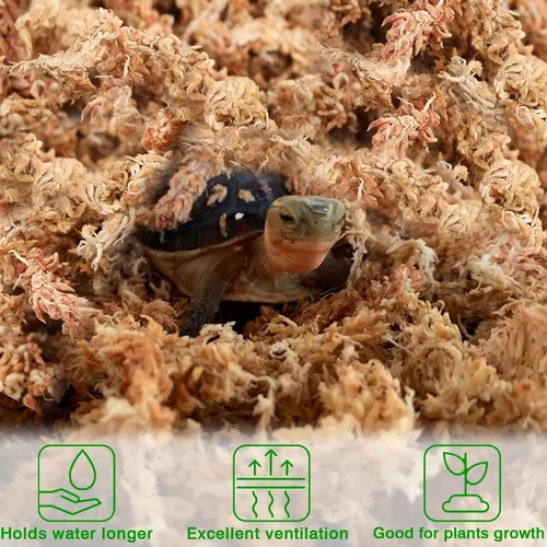 Miniatura 4 de Halatool Musgo Sphagnum de Orquídea de 10 OZ para trasplantar, Musgo Sphagnum Seco de 14 QT para Plantas de Interior, Mantiene la Humedad del Aire