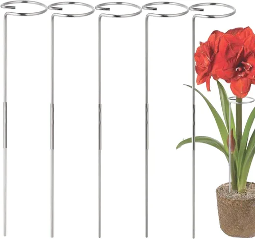 Estacas para plantas de 30 pulgadas o 16 pulgadas para flores, paquete de 5 (bricolaje), anillos de soporte de jaula de plantas de acero inoxidable