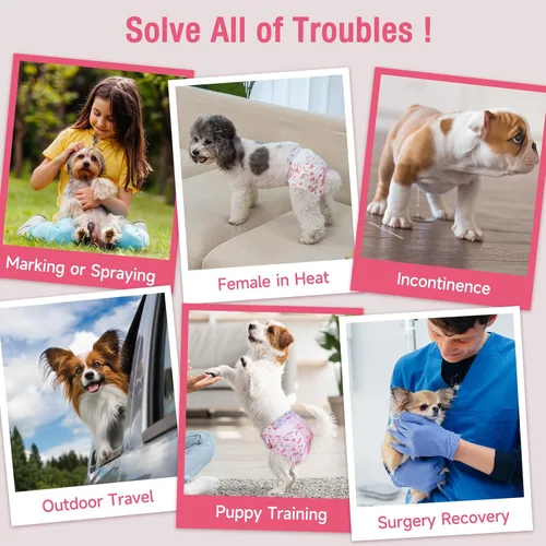 Miniatura 4 de Pet Soft - Pañales desechables para perras - Pañales para perras hembra con agujero ajustable de cola de espuma, indicador de humedad para perritos