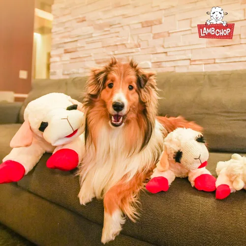 Miniatura 8 de Multipet Licenciado oficialmente Lamb Chop Jumbo White Pelush Dog Toy, 24 pulgadas
