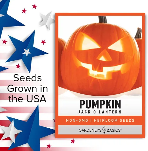 Miniatura 3 de Gardeners Basics, Semillas de calabaza para plantar (Jack O Lantern) reliquia, variedad de verduras sin OMG, 0.07 onzas de semillas ideales